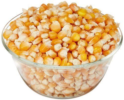 Organic Indian Dry Makka Maize