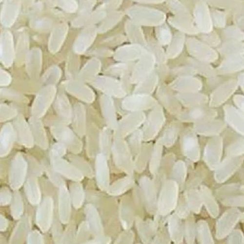 Short Grain Non Basmati Rice