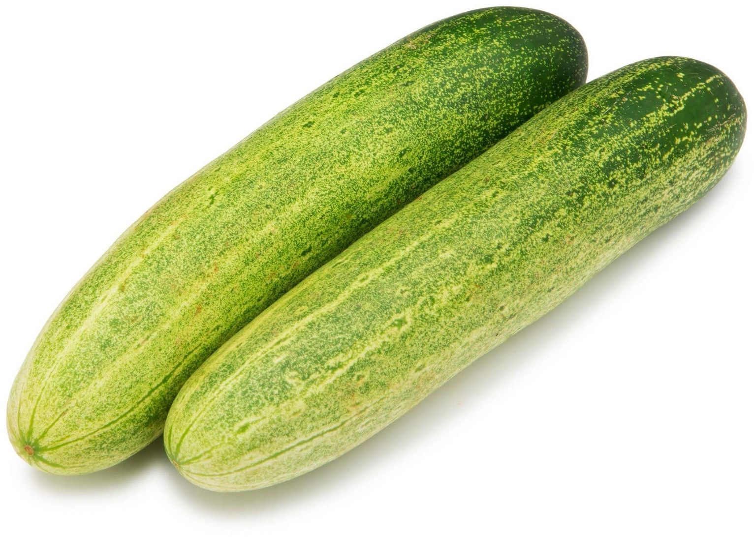 Fresh Cucumber,