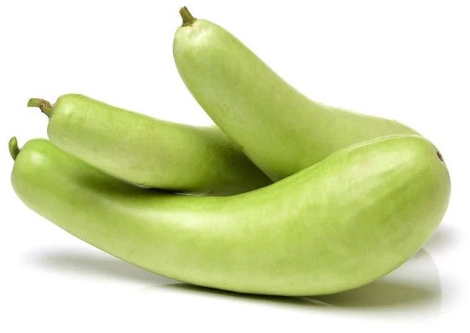 Green Bottle Gourd