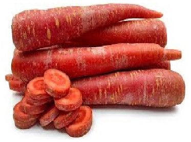Red Carrot