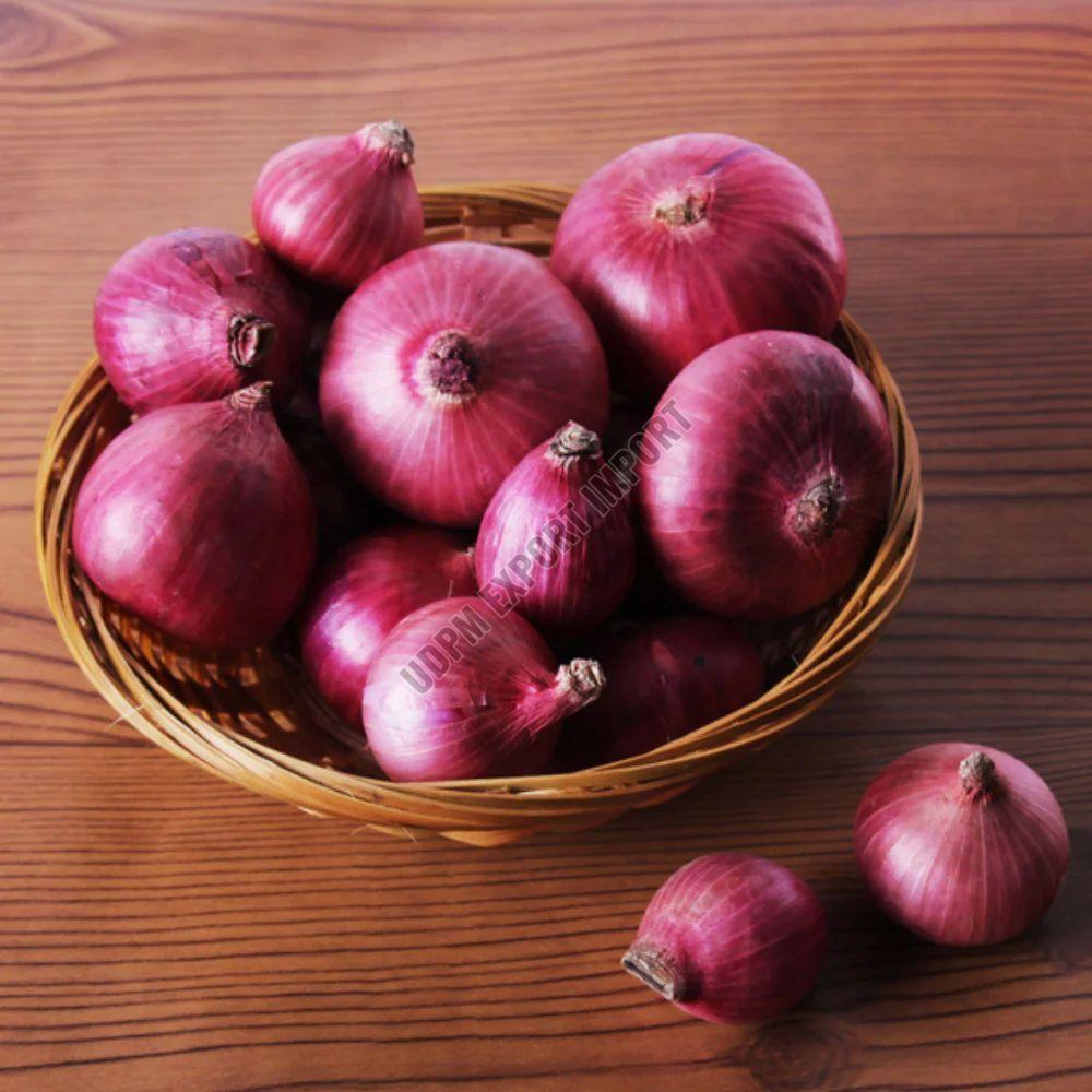 Onion