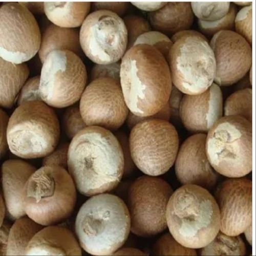 Dry Betel Nuts