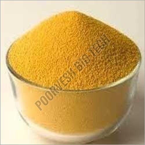 100 TU Papain Enzyme Powder