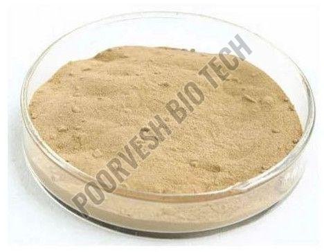 2500 GDU Bromelain Enzyme Powder