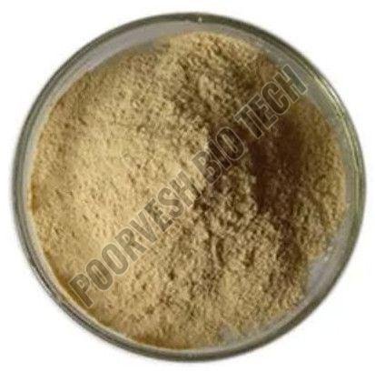 3000 GDU Bromelain Enzyme Powder