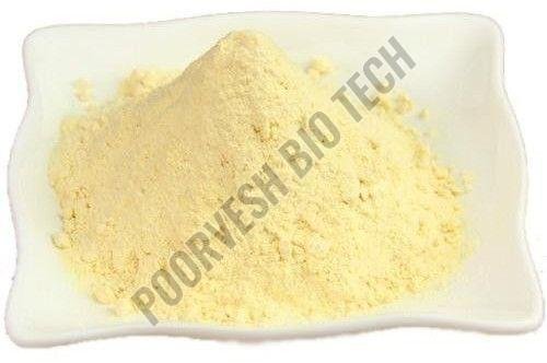 400 TU Papain Enzyme Powder
