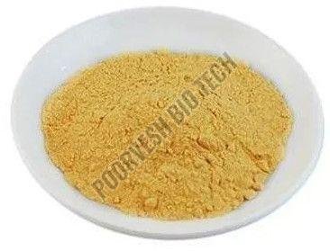 50 TU Papain Enzyme Powder