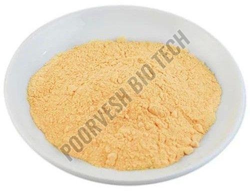 800 TU Papain Enzyme Powder
