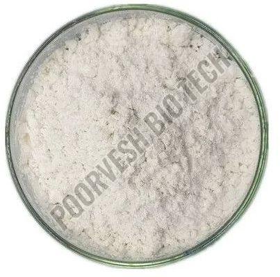 Meat Tenderizing Enzyme Powder