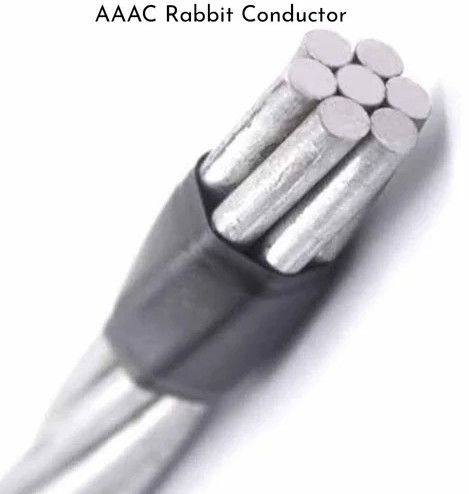 AAAC Rabbit Conductor