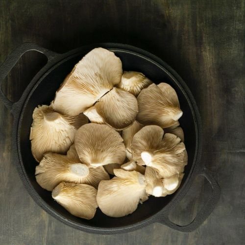 White Mushroom