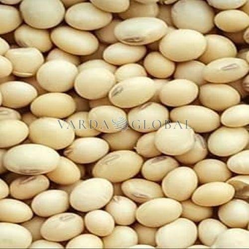 Soybean Seeds