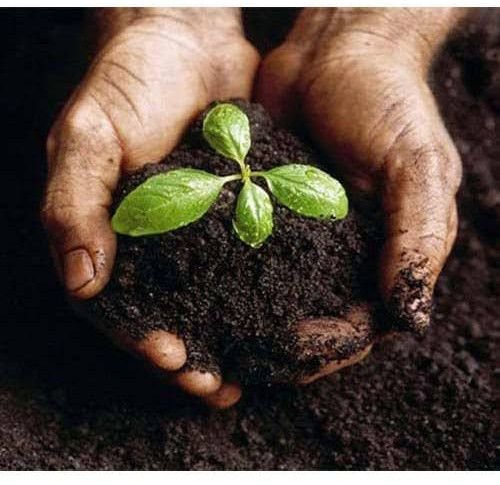 Organic Vermicompost Bio Fertilizers