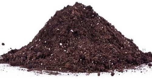 Organic Compost Fertilizer