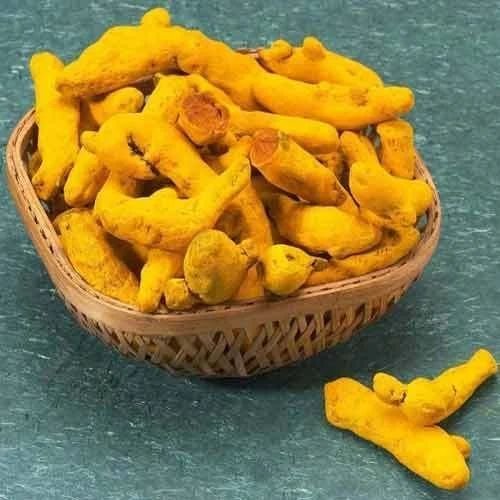 Fresh Raw Turmeric Finger