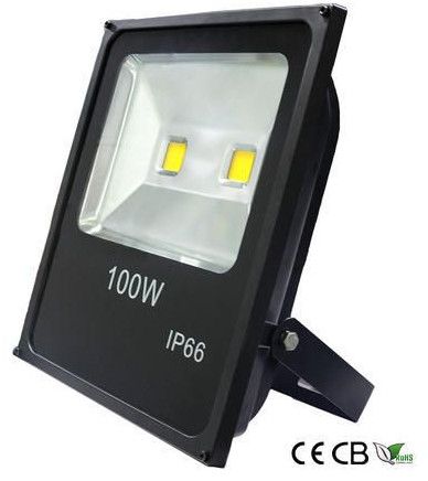 100W LED Flood Light