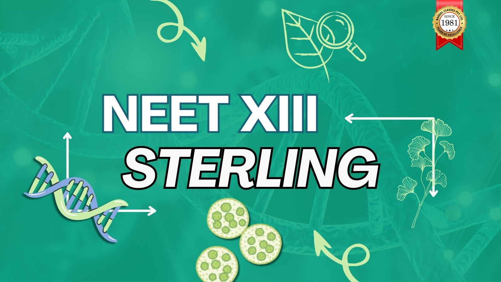 Sterling for NEET UG Course Service