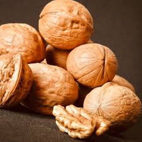 Shelled Walnuts