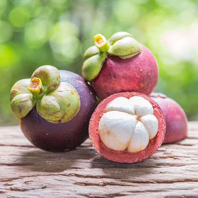 Fresh Mangosteen