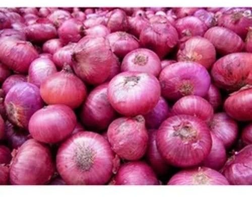 A Grade Pink Onion