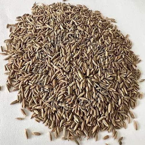 Cumin Seeds