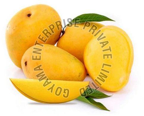 Fresh Alphonso Mango
