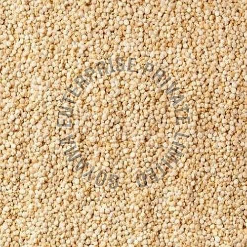 Natural Rajgira Amaranth Ramdana