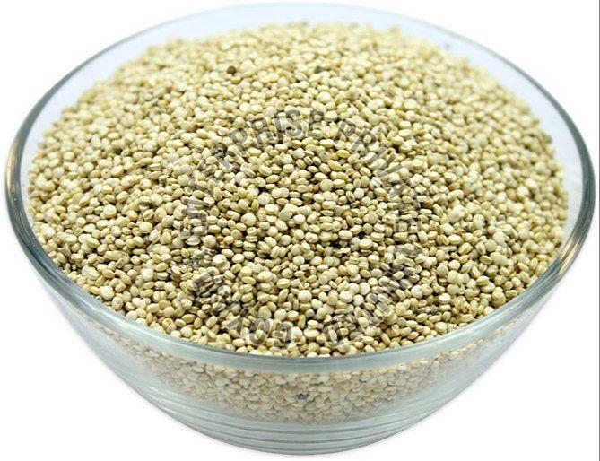Quinoa Seeds