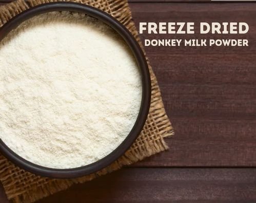 10 Kg Freeze Dried Donkey Milk Powder