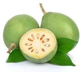 Desi Bael Fruit