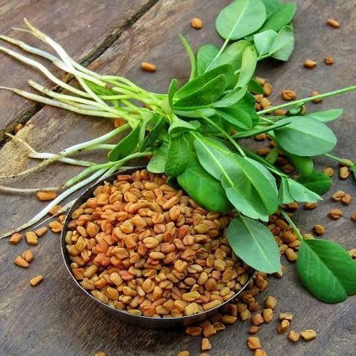 Fenugreek Seeds
