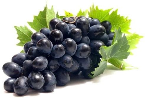 A Grade Black Sharad Grapes