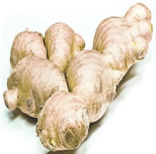 Assam Karbi Anglong Ginger