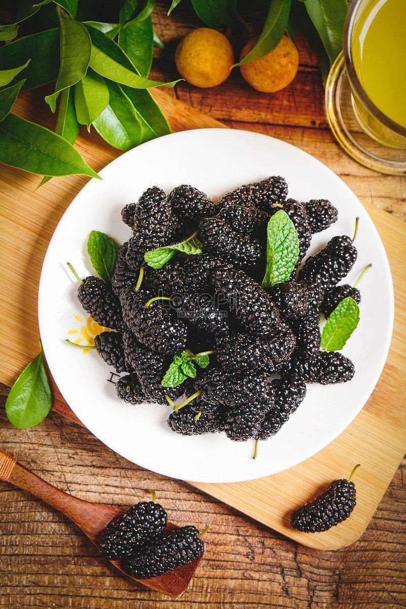 Fresh Indian Mulberry
