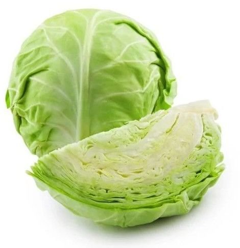 Fresh Organic Cabbage