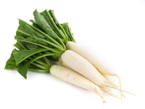 Fresh White Radish