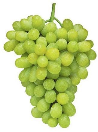 Green Thompson Seedless Grapes