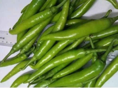 Guntur Sannam Green Chilli