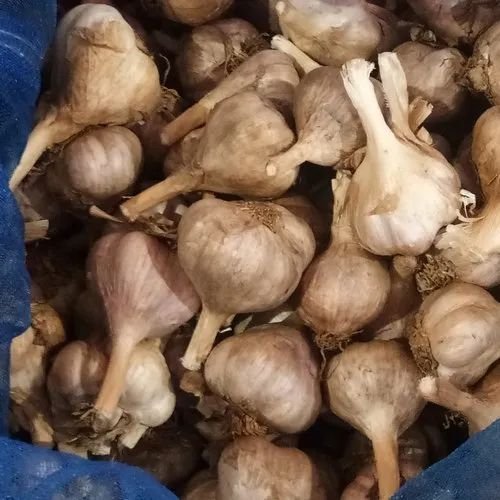 Malai Poondu Garlic