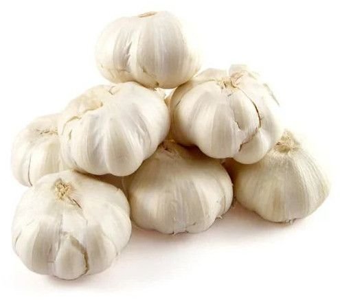 Premium Indian Garlic Premium Indian Garlic