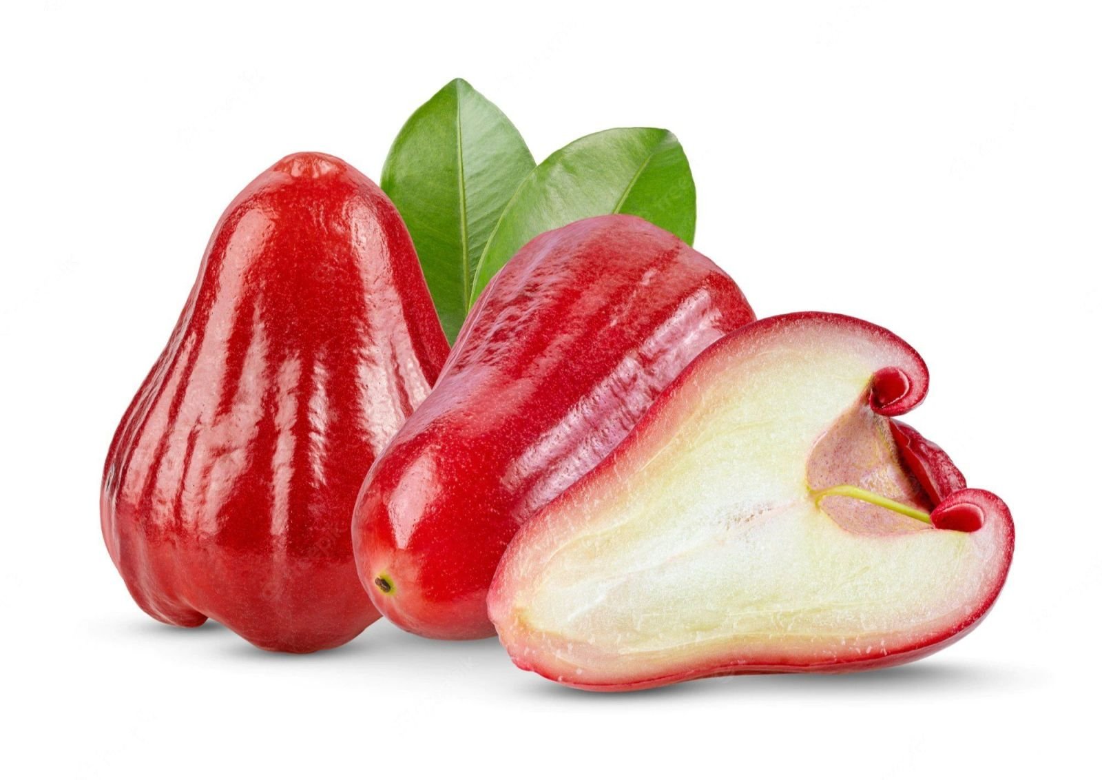 Red Rose Apple