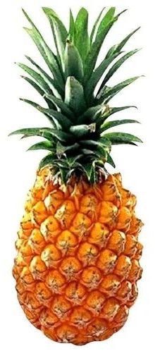 Tripura Organic Queen Pineapple