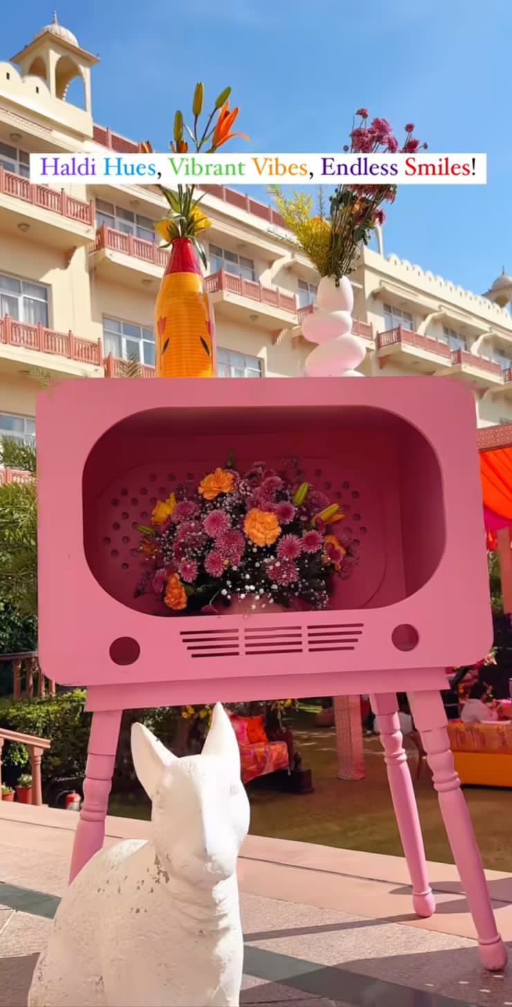 Retro Television Style Decorative Flower Display Unit