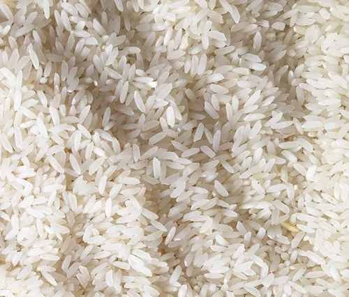 Short Grain Non Basmati Rice