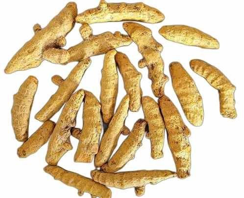 Suguna Turmeric Finger
