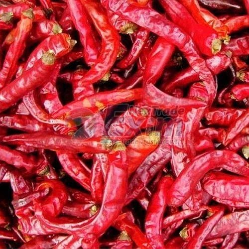 Dried Bright Red Chilli with Stem