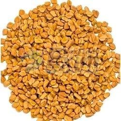 Dried Fenugreek Seeds