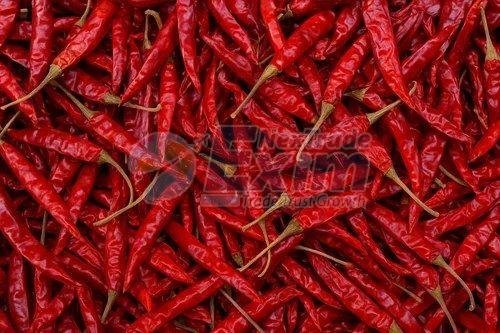 Premium Export Grade Dried Red Chilli with Stem