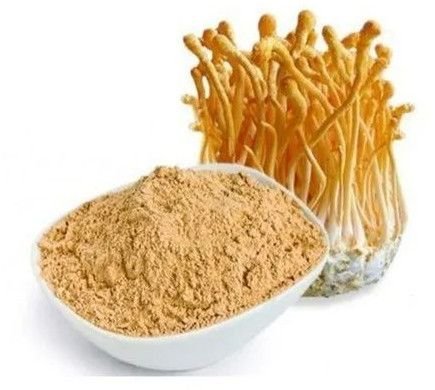 Cordyceps Militaris Powder